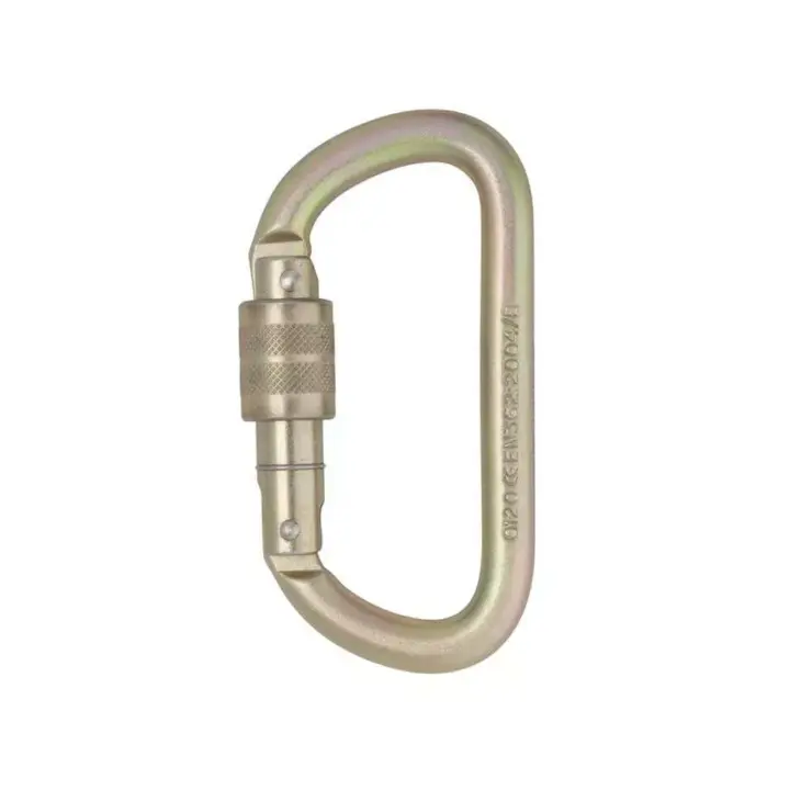 DMM Equal D Steel Screwgate
