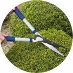 Spear & Jackson Razorsharp Advance Hand Shears-1469