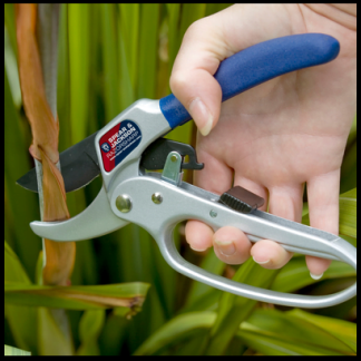 product-images_479