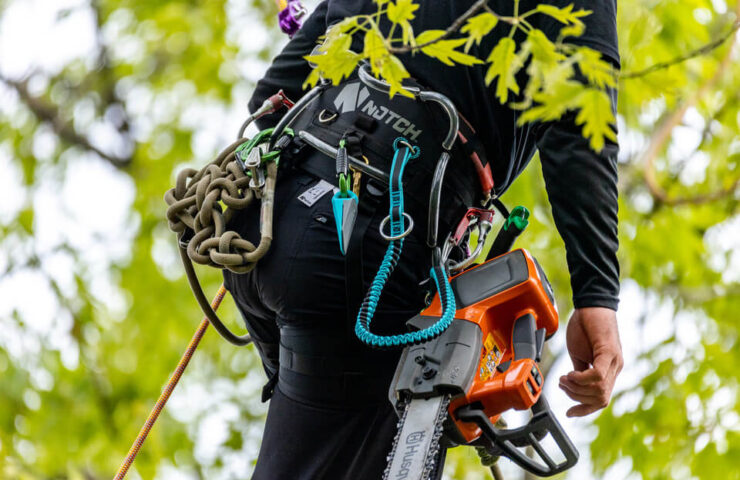 arborist-category