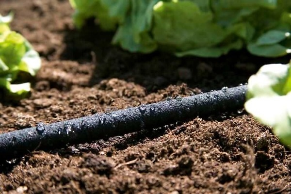gardena_soaker_hose-2