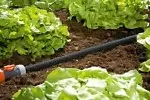 <a href="https://faeryn.xyz/brand/gardena/" class="clw-brand-logo" title="Gardena"><img src="https://faeryn.xyz/wp-content/uploads/2024/08/Gardena-Logo-cropped.jpg" alt="Gardena" style="max-width:180px; max-height:60px;" /></a>   Soaker Hose – 15m Watering Buxtons