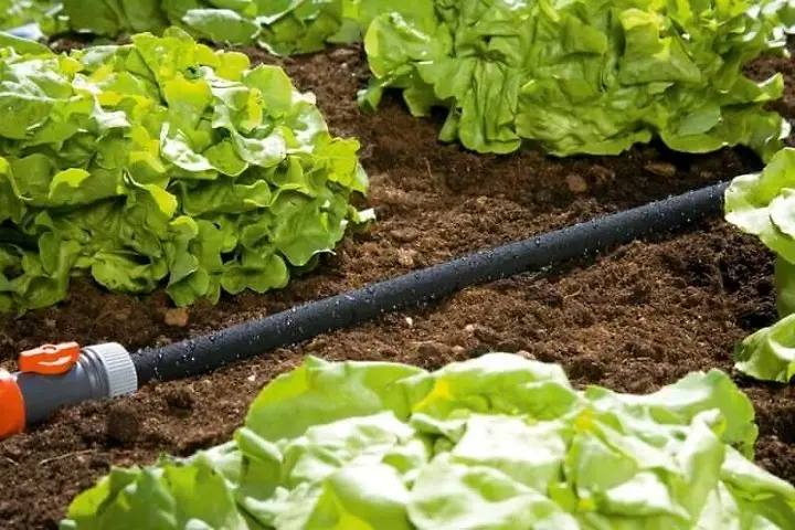 <a href="https://faeryn.xyz/brand/gardena/" class="clw-brand-logo" title="Gardena"><img src="https://faeryn.xyz/wp-content/uploads/2024/08/Gardena-Logo-cropped.jpg" alt="Gardena" style="max-width:180px; max-height:60px;" /></a>   Soaker Hose – 15m Watering Buxtons
