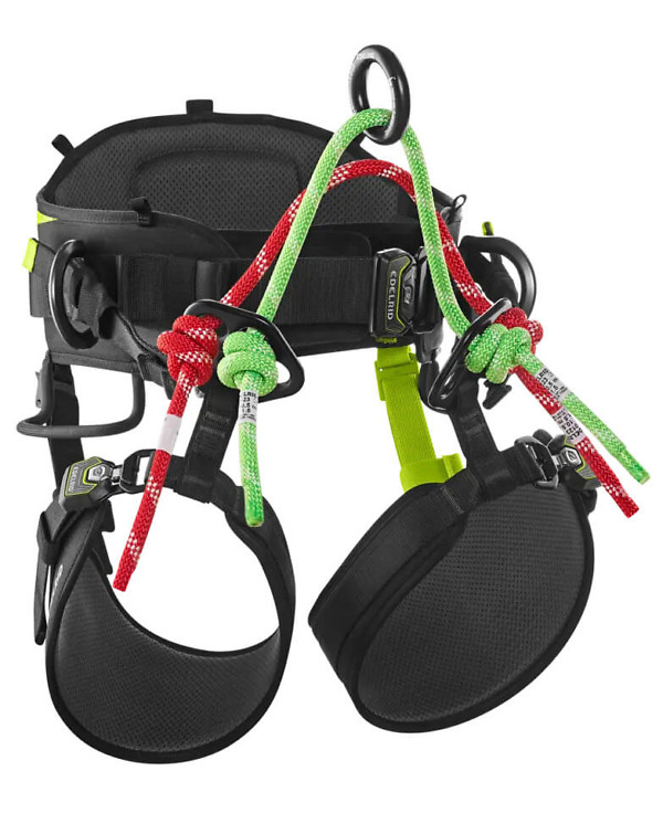 edelrid_treeraptor_climbing_harness