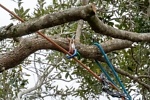 Teufelberger multiTOOL ringSLING Ring