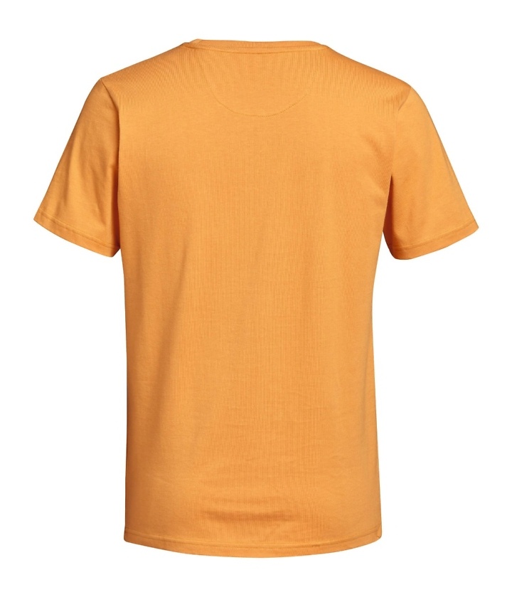 STIHL Sustainable Orange T-Shirt
